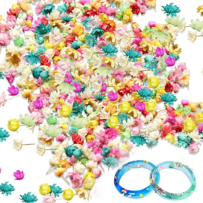 Dailygoods- Gedroogde Bloemen 850 Stuks - Kleine Droogbloemen - Natuurlijke Echte Bloemen - Kleurrijke Droogbloemen - Hars Handwerk - Langdurig Gebruik