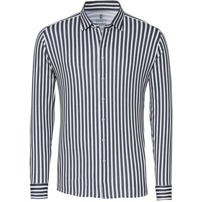 Desoto Overhemd Vertical Stripes Casual Kent Collar Grijs / male