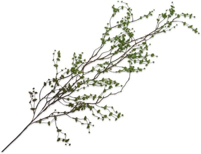 Silk-ka Kunstplant voor Binnen (hang) Vetplant-Succulent Groen 134 cm