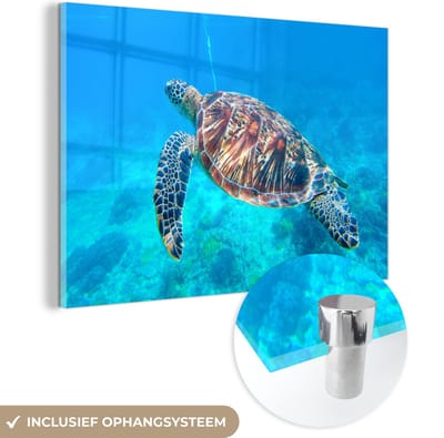 MuchoWow® Glasschilderij 120x80 cm - Schilderij acrylglas - Schildpad - Zee - Blauw - Foto op glas - Muurdecoratie woonkamer - Wanddecoratie slaapkamer - Schilderijen