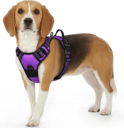 Hondentuig No Pull, Hondenharnas voor Kleine Honden, Verstelbare Harnas Hond met Reflecterend Strepen, Gewatteerd Zacht Ademend, Hondentuigje Anti-trek voor Wandelen Training, Paars S