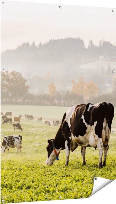 Gards Tuinposter Zwart Witte Koeien in de Wei - 100x150 cm - Tuindoek - Tuindecoratie - Wanddecoratie buiten - Tuinschilderij