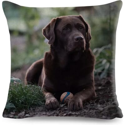 Schattige Zwarte Labrador Hond Dubbelzijdig Bedrukte Kussensloop Korte Pluche Geschikt voor Woonkamers Slaapkamers Banken Sierkussenhoes 45x45cm