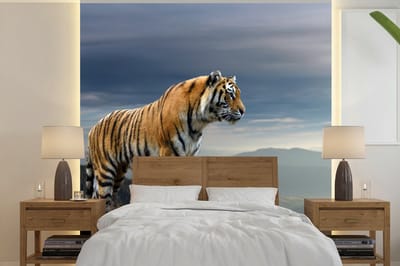 Behang - Fotobehang Tijger - Berg - Natuur - Landschap - Breedte 300 cm x hoogte 300 cm