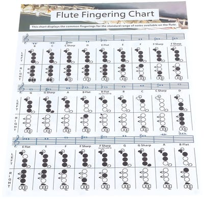 Dailygoods- Fluitvingerzetting Oefenschema - Draagbaar Akkoordenschema - Beginners - Muzieklessen - Thuisoefeningen - Hoogwaardig Gecoat Papier