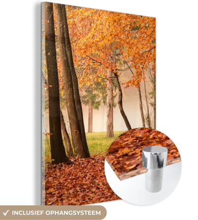MuchoWow® Glasschilderij 30x40 cm - Schilderij acrylglas - Bladeren - Herfst - Bos - Foto op glas - Schilderijen