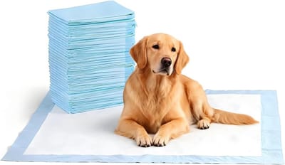 Training Pads voor Honden en Puppies, 40 Stuks, 60 x 60 cm, Absorberende en Lekvrije Onderleggers met Sneldrogende Oppervlak voor Zindelijkheidstraining