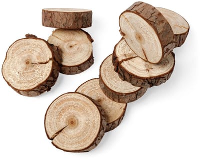 ARTYFETES - 10 mini natuurlijke houten schijfjes 5 cm met schors