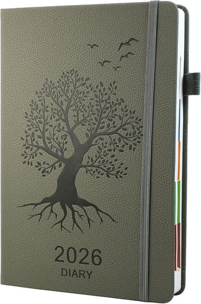 Dagplanner 2026 - Agenda Dag per Pagina Januari t/m December - 12 Maanden Productiviteitsplanner met Tabs