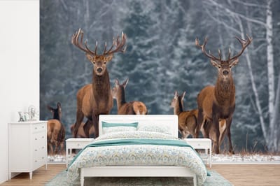 Behang - Fotobehang Hert - Winter - Sneeuw - Bosdieren - Bos - Natuur - Breedte 330 cm x hoogte 220 cm