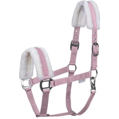 Halsband voor Mini-Shetland met vacht Waldhausen First