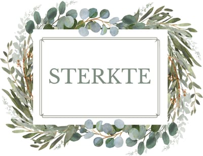 Wenskaart sterkte eucalyptus – 13x13 cm – gevouwen kaart – inclusief witte envelop – stevig papier – condoleancekaart