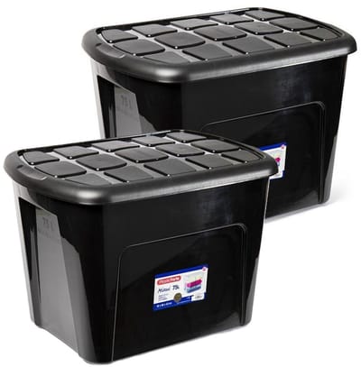 Plasticforte opberg kist met deksel - 2x - Multi Purpose Box - 75 liter - 60 x 42 x 43 cm - kunststof - transparant