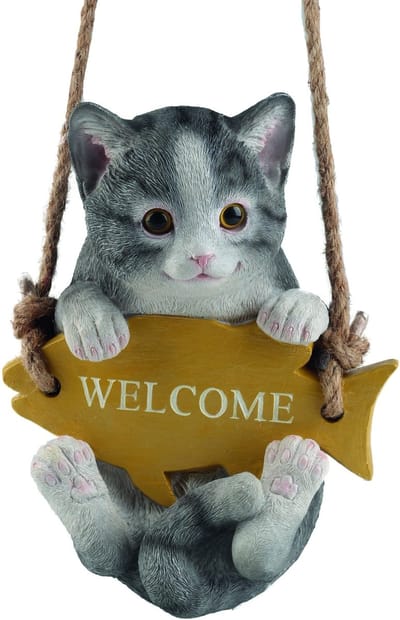 Welkom kat op schommel