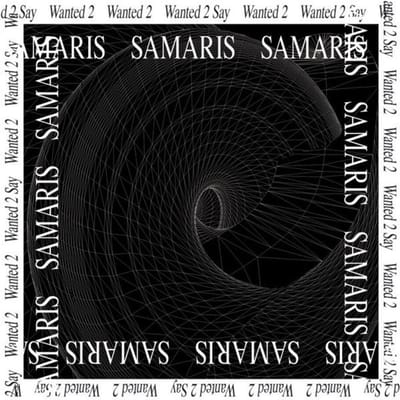 Samaris - Wanted 2 Say (12" Single)