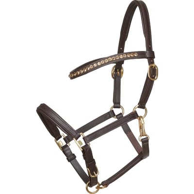 Leren halster voor paarden HorseGuard