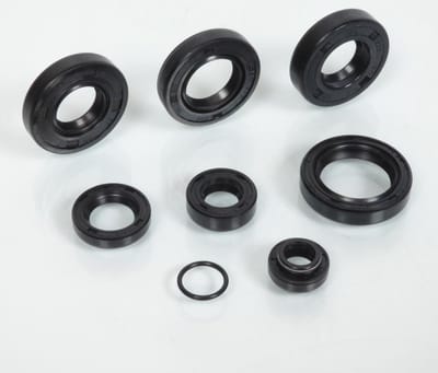 Joint spi moteur RSM pour Moto Minarelli 50 AM6 Neuf