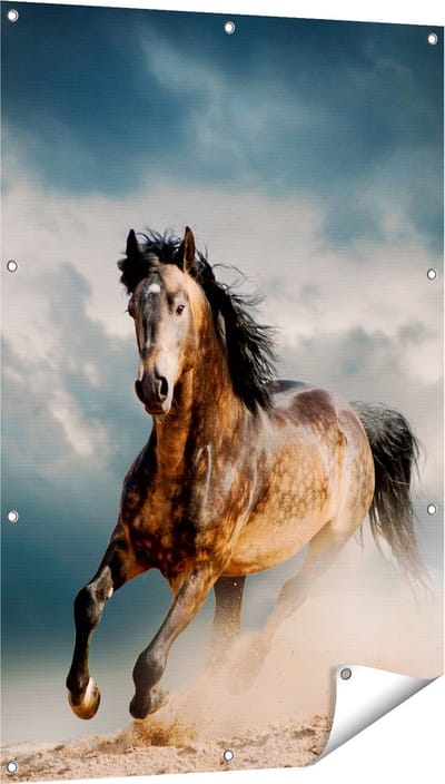 Gards Tuinposter Wilde Paard in het Zand - 80x120 cm - Tuindoek - Tuindecoratie - Wanddecoratie buiten - Tuinschilderij