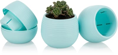 6st ronde cactus bloempotjes blauw 6cm met wateropvang drainage stekpotje