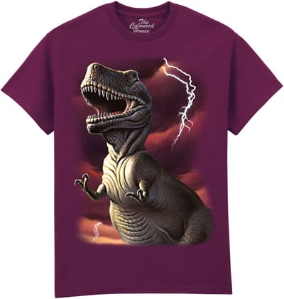 Dinosaurus Lightning Rex The Coloured House T-shirt M