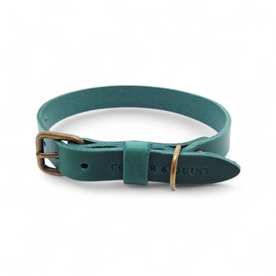 Cooper & Quint No Fuss - Halsband Hond - Leren Halsband Hond - Groen - Oud messing - XS