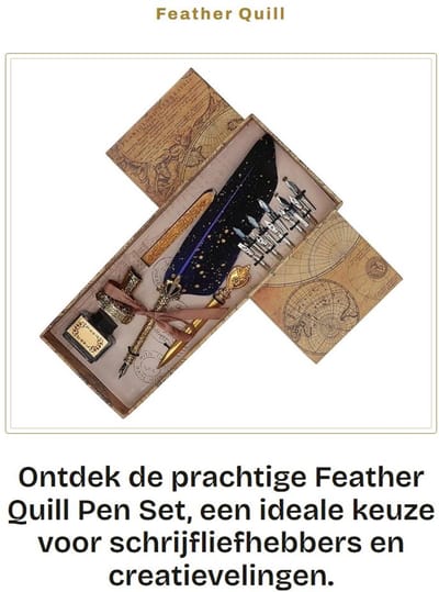 Dailygoods- Veerviltpen Set - Ganzenveer - Briefopener - Pennenhouder - Inktfles - 10 Vervangende Penpunten - Geschikt voor Kalligrafie - Kalligrafiepen