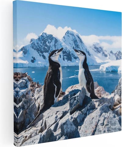 Artaza Canvas Schilderij Pinguïns Antarctica - 30x30 cm - Klein - Wanddecoratie Landschap - Muurdecoratie Sneeuw - Kamer Accessoires Natuur