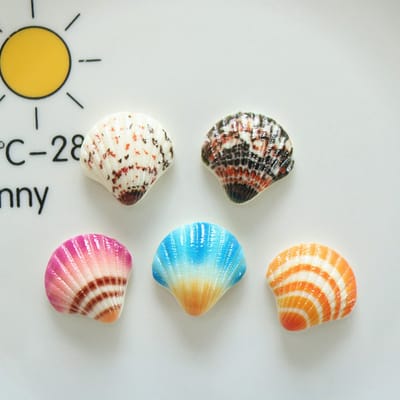 TLVX 5 stuks Mooie 3D Schelp Magneten / Leuke Koelkastmagneten / Foto Magneet Zee Schelpen / Vrolijke Speel- en Leer Magneten / Whiteboard / School / Kantoor / Notitie / Boodschappenlijst / Memo Bord / Schoolbord / Magnetisch / Kleur Magneetjes