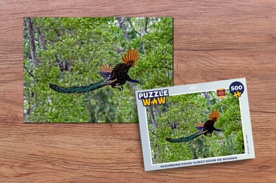 Puzzel Pauw - Vliegen - Bos - Blauw - Legpuzzel - Puzzel 500 stukjes