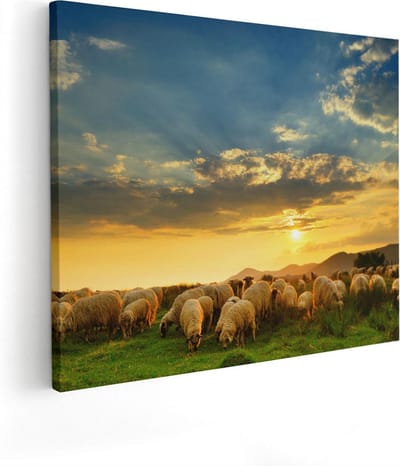 Artaza Canvas Schilderij Kudde Schapen - 50x40 cm - Wanddecoratie Dieren - Muurdecoratie Weiland - Schilderijen Op Canvas
