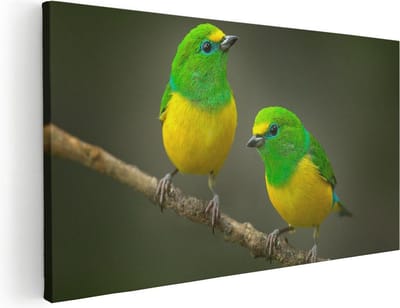 Artaza Canvas Schilderij Vogels - 40x20 cm - Klein - Wanddecoratie Vogels Op Tak - Muurdecoratie Dieren - Schilderijen Op Canvas