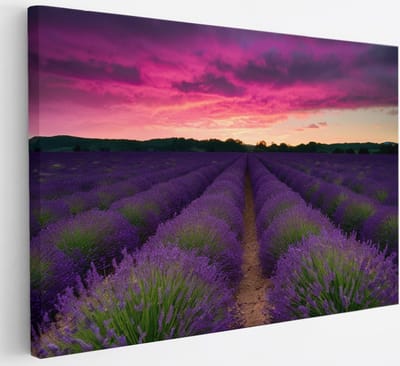 Saammp Canvas Schilderij - Lavendel met paarse lucht - Landschap - Natuur - 30x20 - Foto op canvas - Wanddecoratie - Muurdecoratie Woonkamer - Slaapkamer decoratie - Canvas Print
