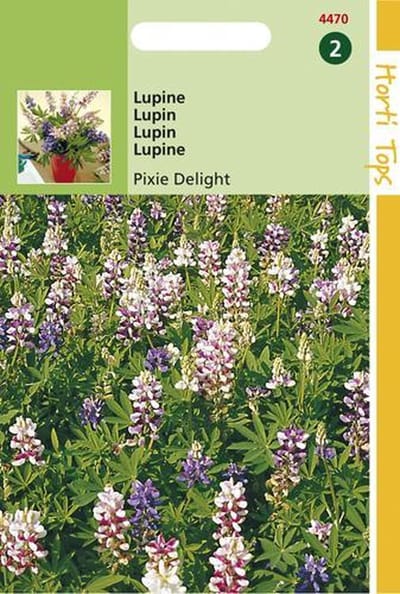 Hortitops Zaden - Lupinus Nanus Pixie Delight Gemengd