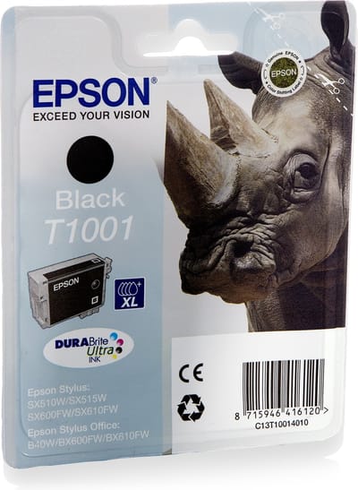 Epson T1001 - Inktcartridge / Zwart