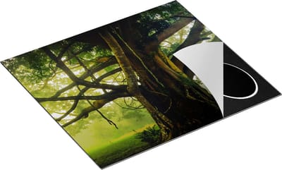 Chefcare Inductie Beschermer Grote Levensboom met Veel Takken - 60x50 cm - Afdekplaat Inductie - Kookplaat Beschermer - Inductie Mat