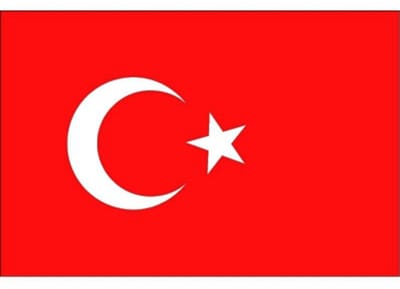 Vlag van Turkije stickers - 7 x 10 cm - Landen - Turkse vlaggetjes - versiering - feestartikelen