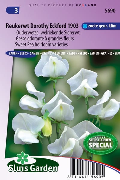 Sluis Garden - Reukerwt Dorothy Eckford 1903 (Lathyrus)