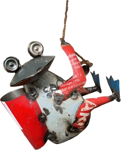 Climing Frog 20x13H19