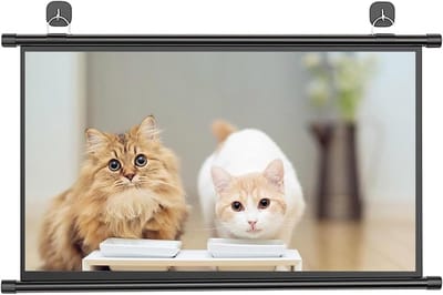 Projectiescherm Handmatig - Beamer Scherm - Thuisbioscoop Kantoor - Draagbaar Opvouwbaar - 30 40 50 Inch - Zwart Frame