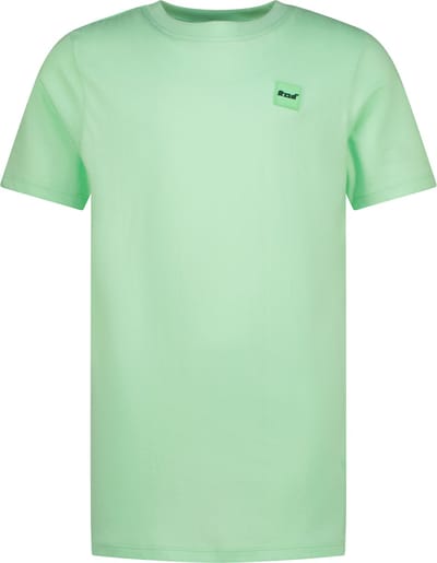 Raizzed jongens T-shirt Hoosic Fresh opal Regular