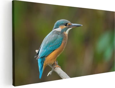 Artaza Canvas Schilderij IJsvogel - 40x20 cm - Klein - Wanddecoratie Vogels - Muurdecoratie Vogel Op Tak - Schilderijen Op Canvas