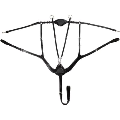 Leren Plastron 5-Punts Bevestiging Acavallo