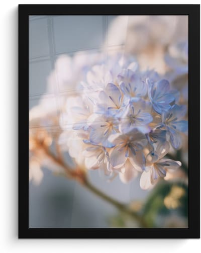 Poster in lijst - Fotolijst 30x40 cm - Posters - Bloemen - Lichtblauw - Wazig - Trosje - Posterlijst zwart - Decoratie - Wanddecoratie woonkamer - Muurdecoratie slaapkamer