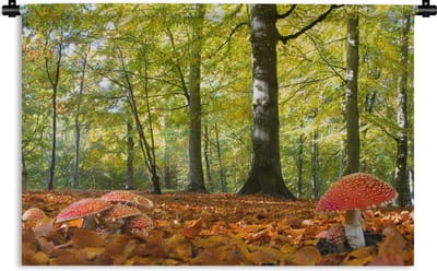 Wandkleed - Wanddoek - Rode paddenstoelen in een bosrijk gebied - 90x60 cm - Wandtapijt
