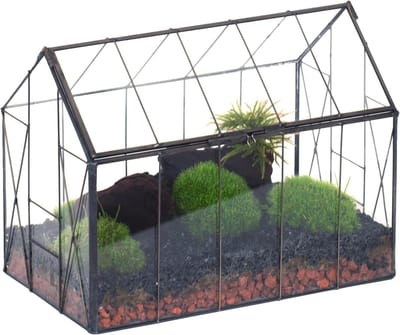 24 x 14 x 18.5 cm Glazen Terrarium met Deksel in Vintage Huisvorm, Ideaal voor Kleine Succulenten en Cactussen, Decoratieve Geometrische Plantenkas