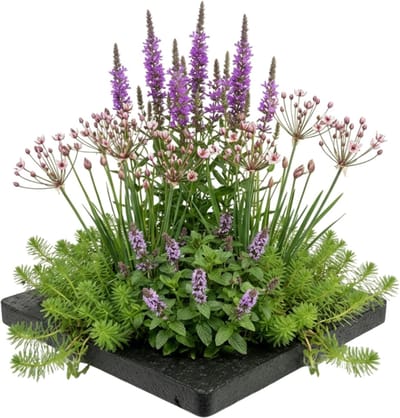 SNJY® Vijverbak - Voorgevormde Vijver - Mini Vijver - Vijverbakken - Paars/Roze Planten - Zwart