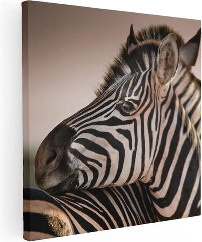 Artaza Canvas Schilderij Zebra - 50x50 cm - Wanddecoratie Dieren - Muurdecoratie Afrika - Schilderijen Op Canvas