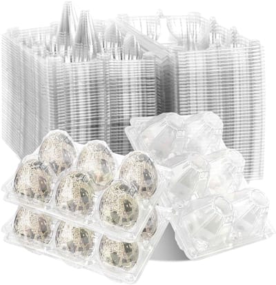 100 Stuks Quail Egg Boxes - Plastic Eieren Dozen met 6 Compartimenten voor Kweek en Opslag