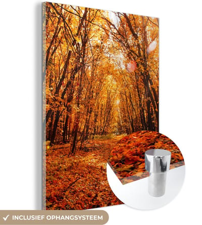 MuchoWow® Glasschilderij 30x40 cm - Schilderij acrylglas - Herfst - Bos - Bladeren - Seizoenen - Foto op glas - Schilderijen
