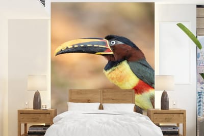 Behang - Fotobehang Vogel - Toekan - Veren - Natuur - Breedte 175 cm x hoogte 240 cm